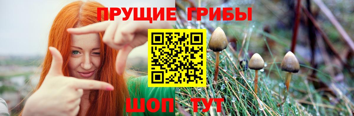 Псилоцибиновые грибы мухоморы  Вход с VPN  Истра 